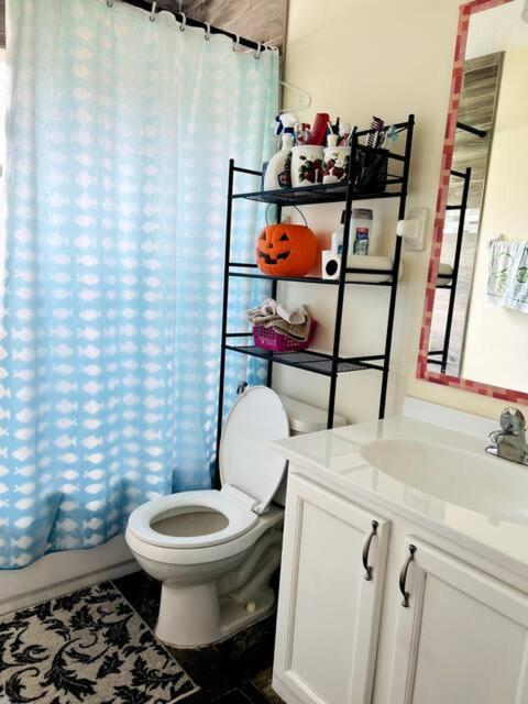 Room In Citrus Park And Carollwood, Close To The Airport & Downtown Tampa Buitenkant foto